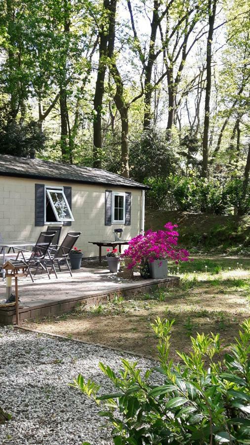 Chalet Gem Villa Вагенинген Екстериор снимка
